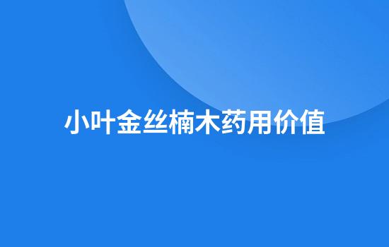 小叶金丝楠木药用价值